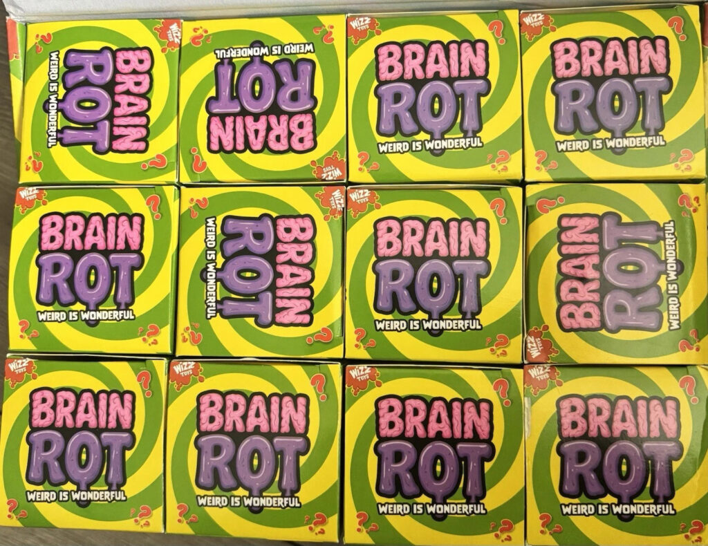 Individual Brain Rot