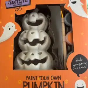 Paint your own Pumpkin