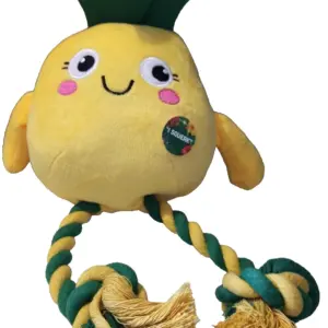 Fruit rope dog toy - Pineapple
