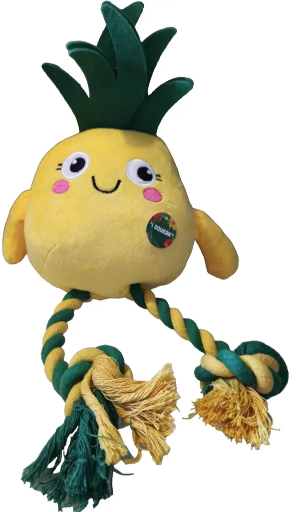 Fruit rope dog toy - Pineapple